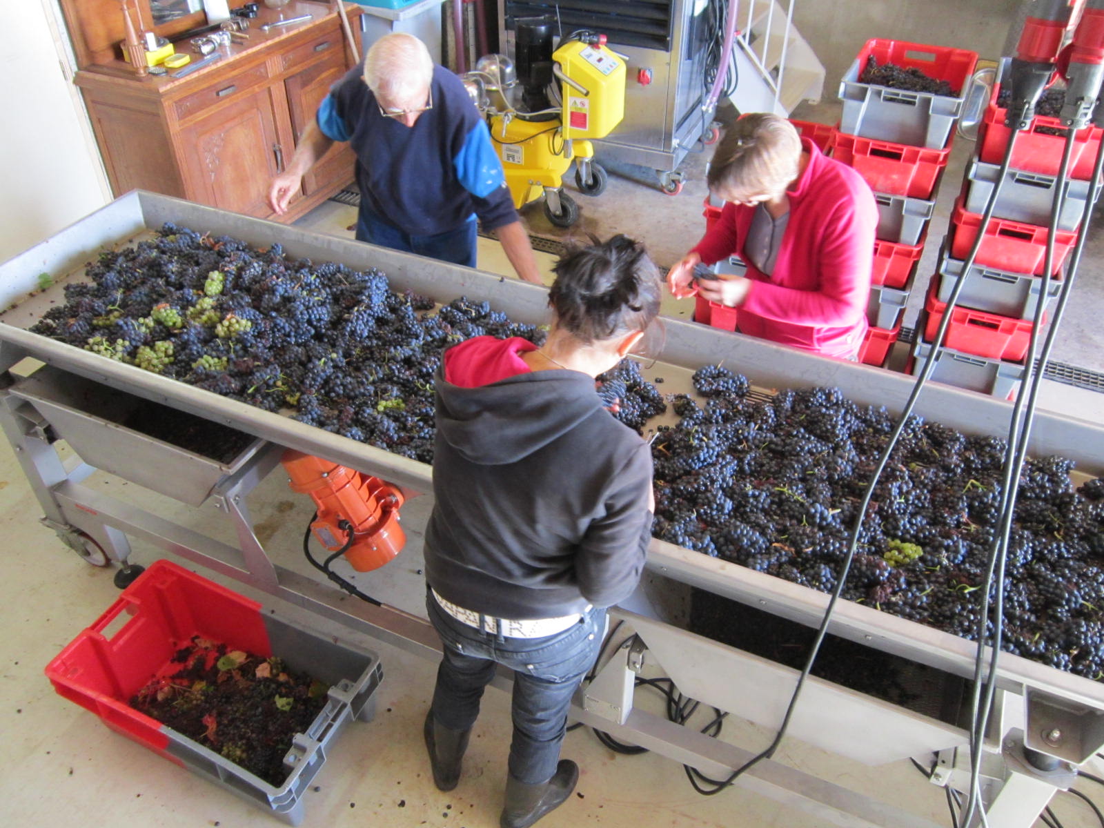 Les vendanges 2022 s'annoncent: on recrute !