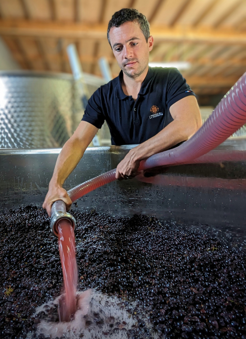 Vinifier : l'art de laisser parler les terroirs