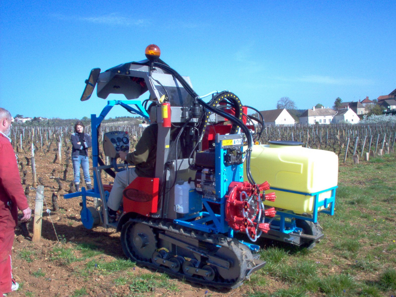 Les traitements de la vigne: le moins possible